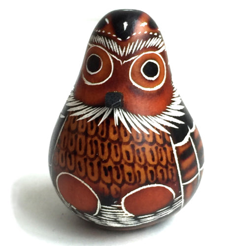 Small Owl Gourd