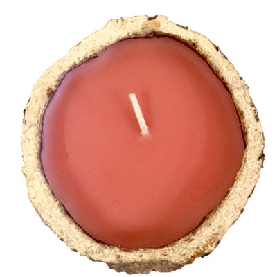Exotic Scented Brazil Nut Candles