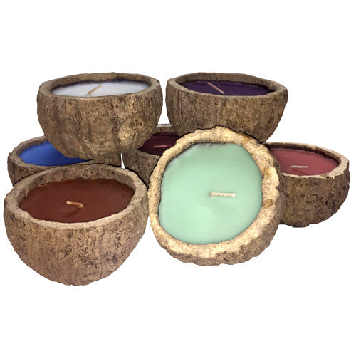 Exotic Scented Brazil Nut Candles